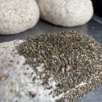 pan artesanal multi semillas (chía)